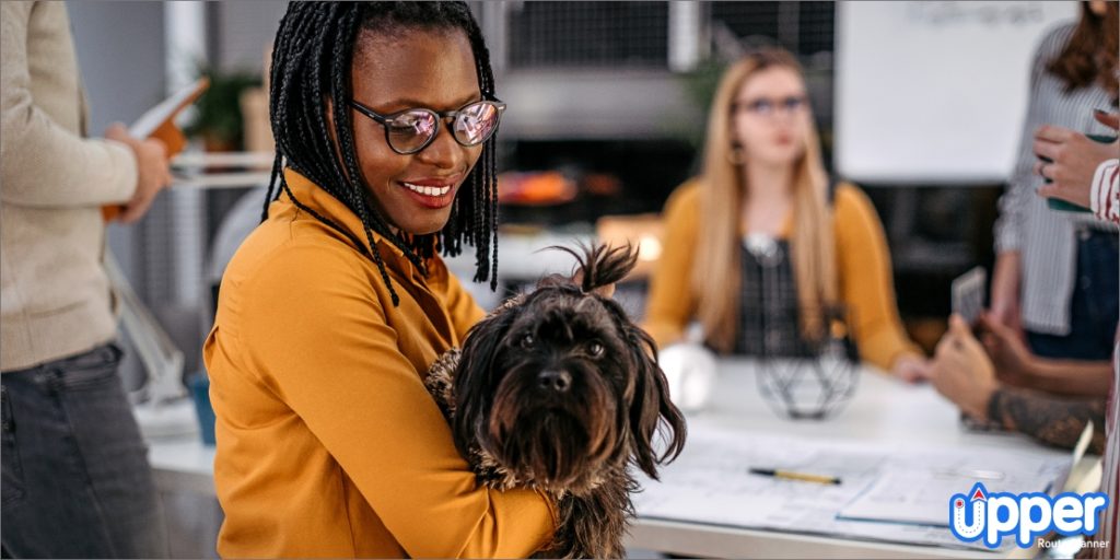 Image showcasing Start a Successful Mobile Pet Grooming Business: 8 Easy Steps