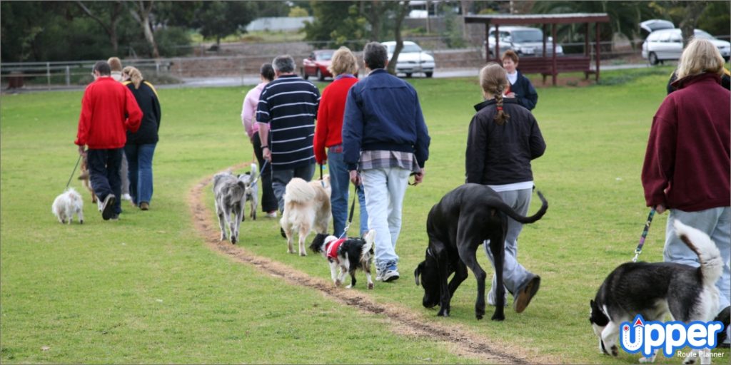 Professional training for mobile pet grooming business