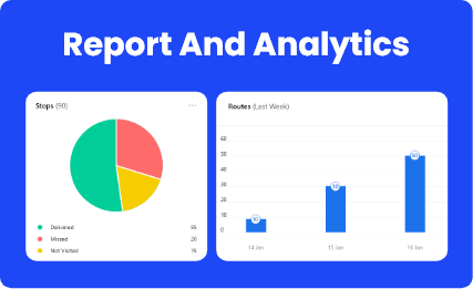 Report and analytics