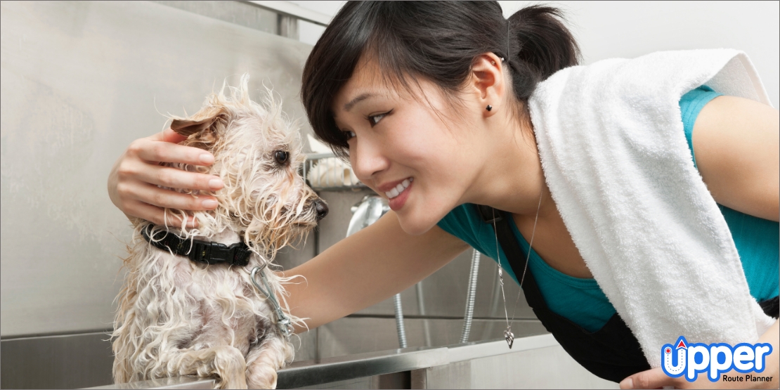 What is a Pet Grooming Business?