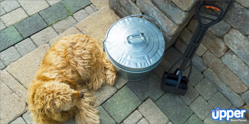 How to Start a Pooper Scooper Business in 2024 (Steps & Challenges)
