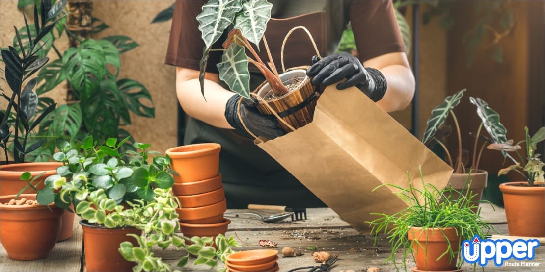 Pick the right packing and shipping supplies to ship plants