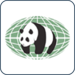 Panda environmental services inc