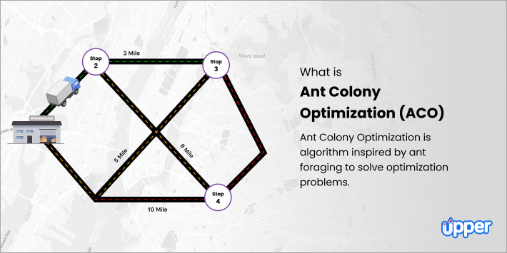 What is ant colony optimization