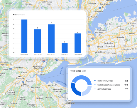 Reports & Analytics