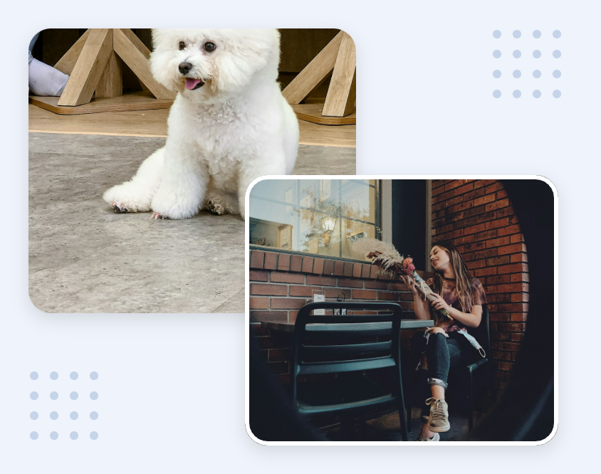 Paws & Suds Mobile Grooming