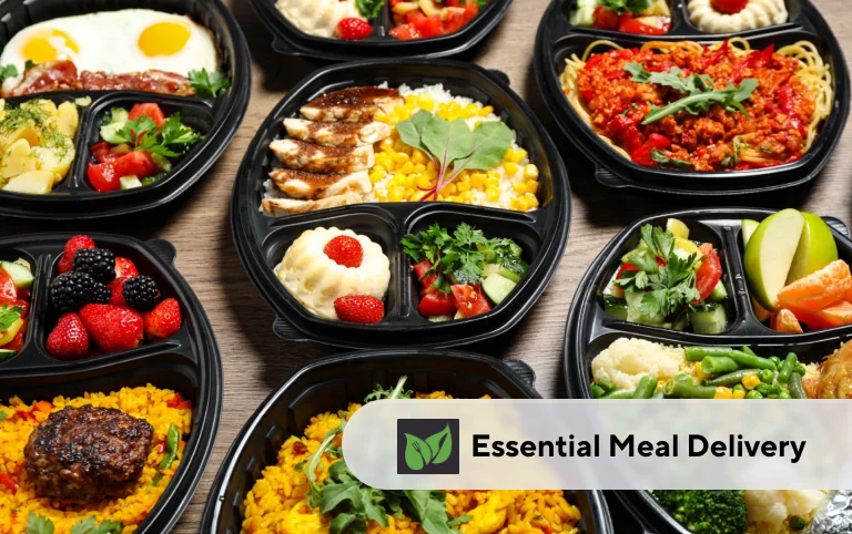 Essential Meal Delivery Case Study